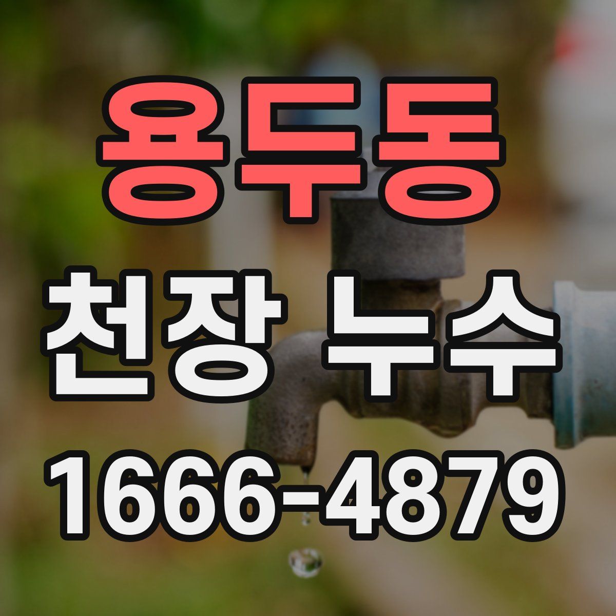 용두동 천장 누수