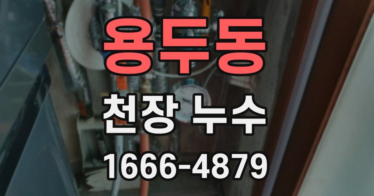 용두동 천장 누수