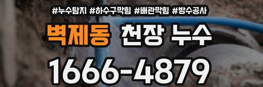 벽제동 천장 누수