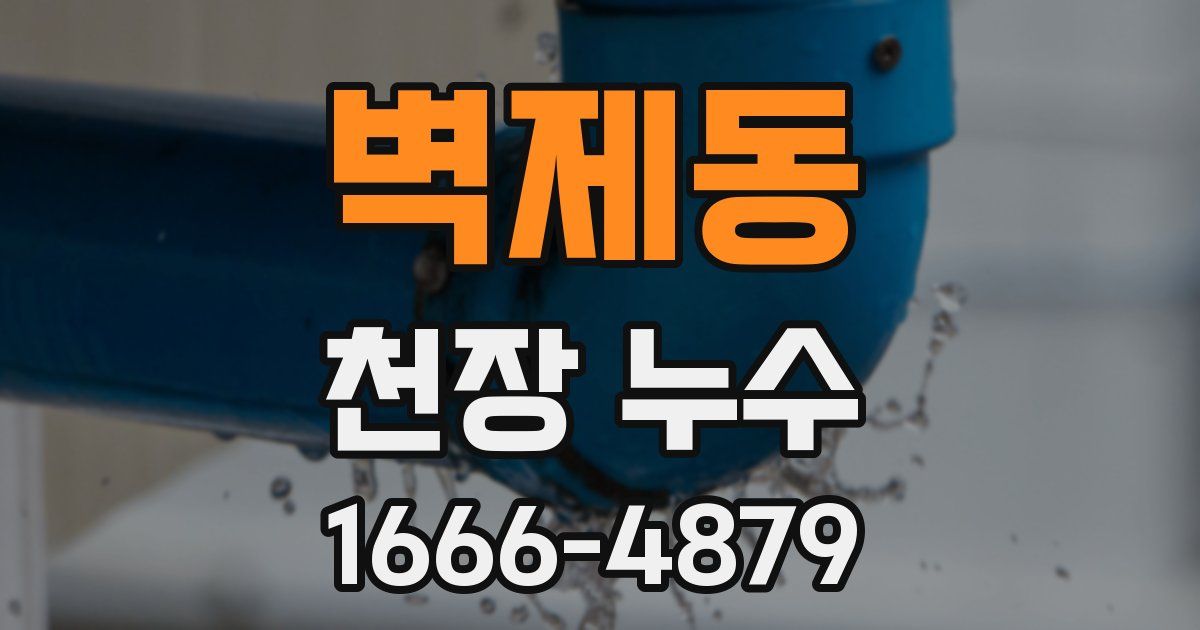 벽제동 천장 누수