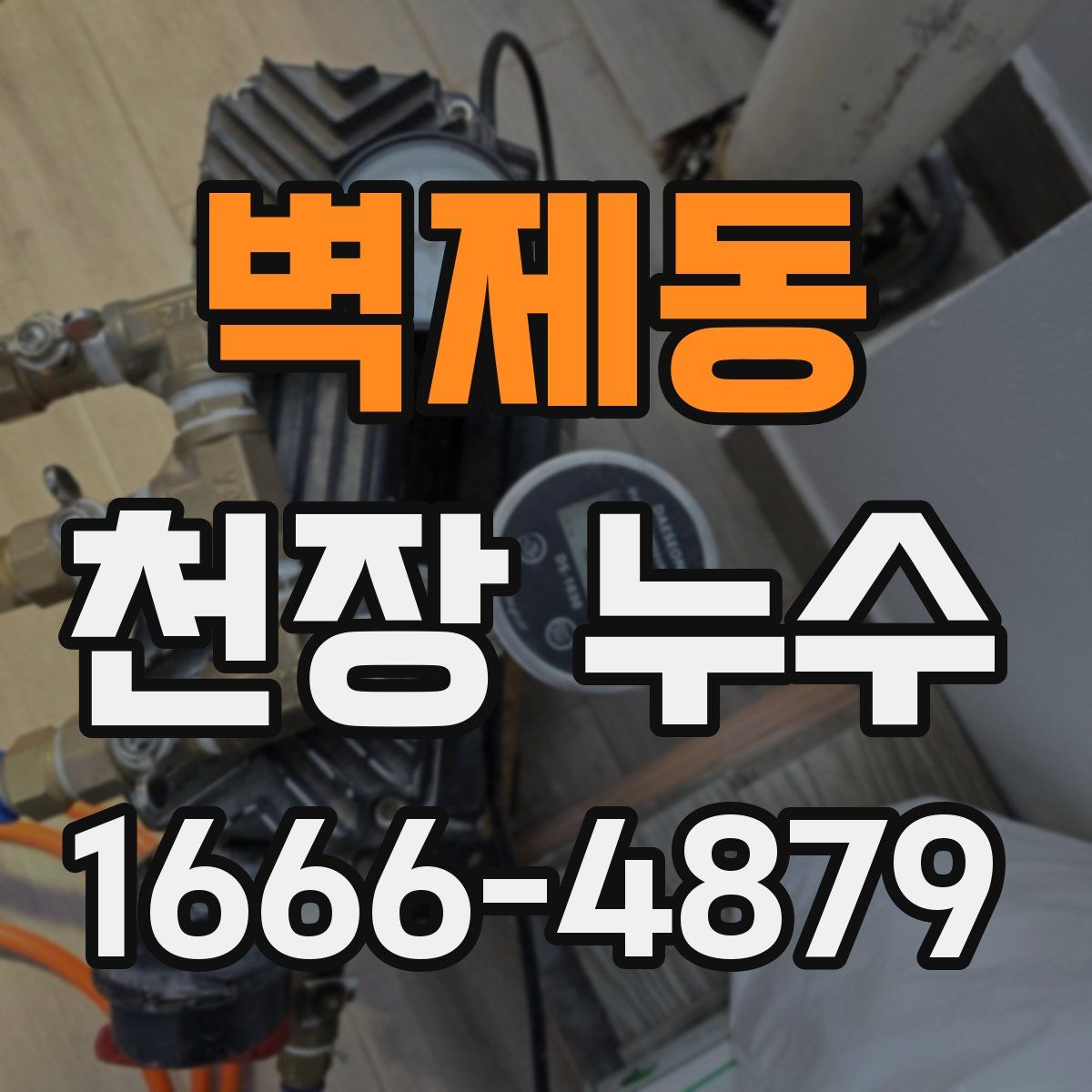 벽제동 천장 누수