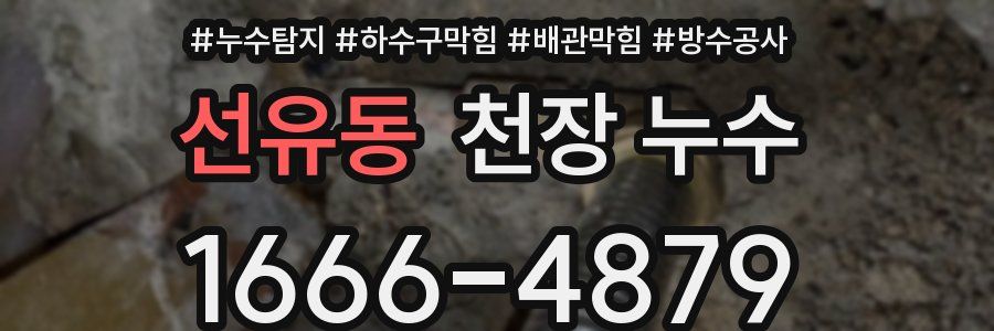 선유동 천장 누수