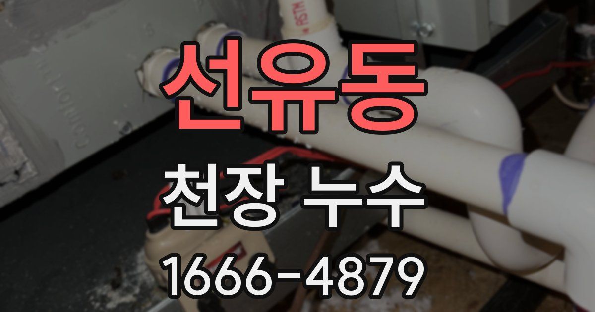 선유동 천장 누수