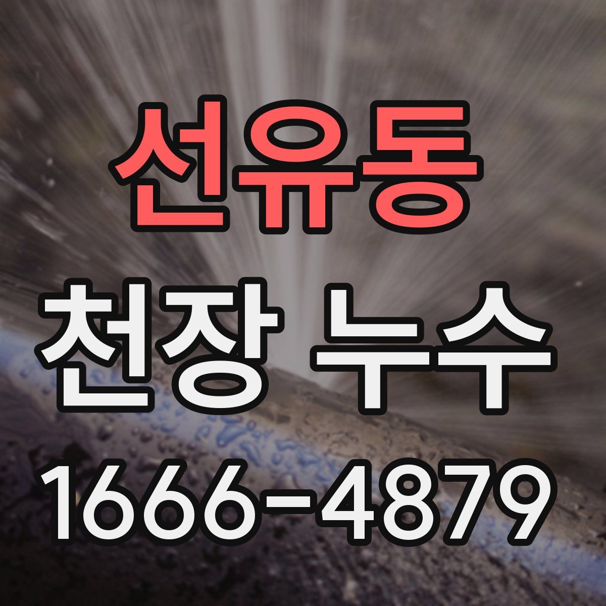 선유동 천장 누수