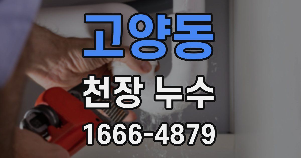 고양동 천장 누수