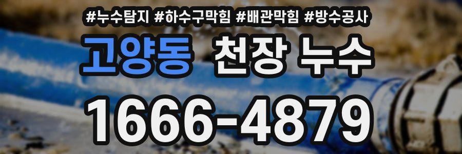 고양동 천장 누수