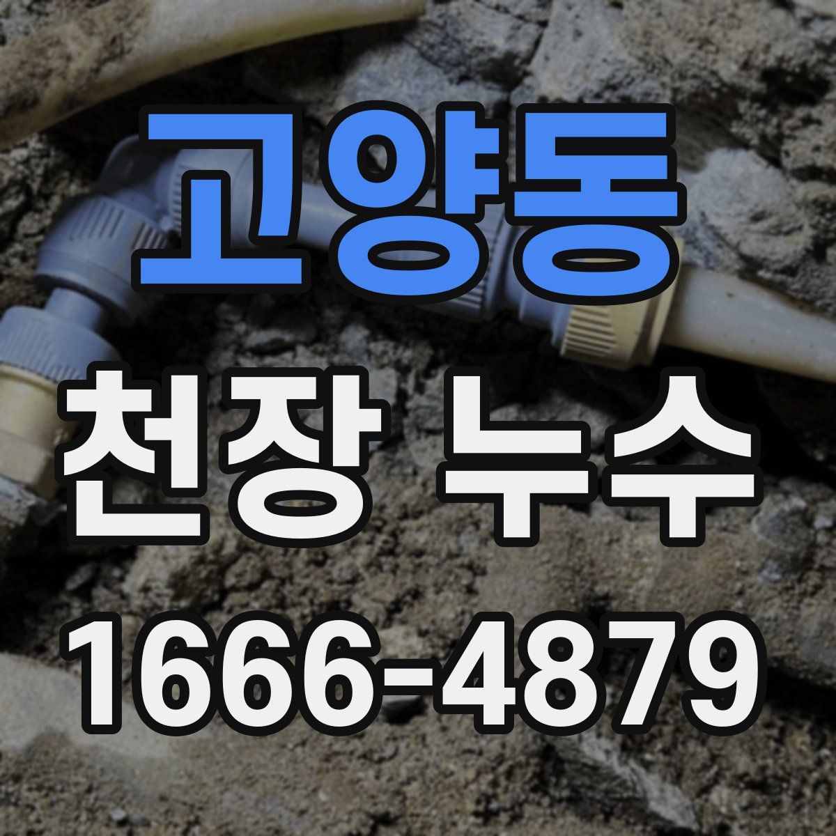 고양동 천장 누수