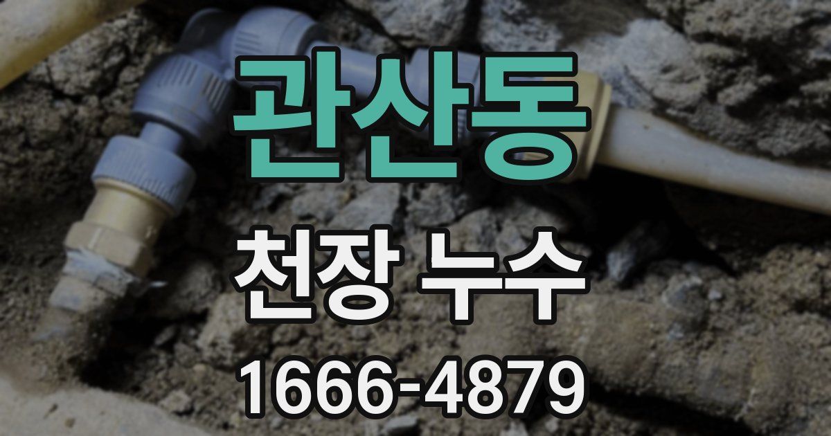 관산동 천장 누수