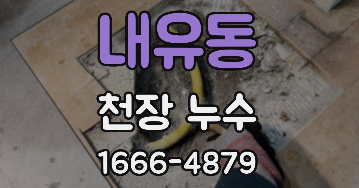 내유동 천장 누수