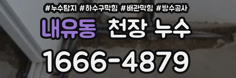 내유동 천장 누수
