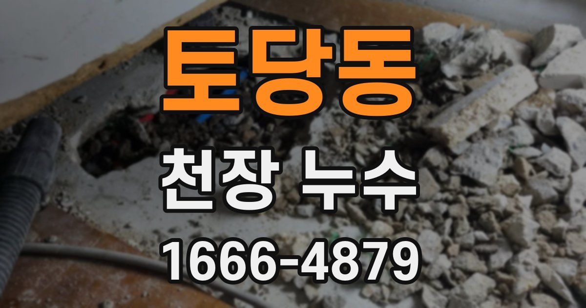 토당동 천장 누수