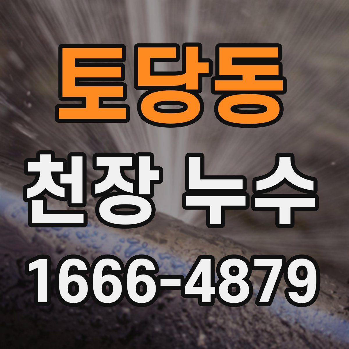토당동 천장 누수
