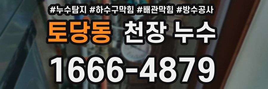 토당동 천장 누수