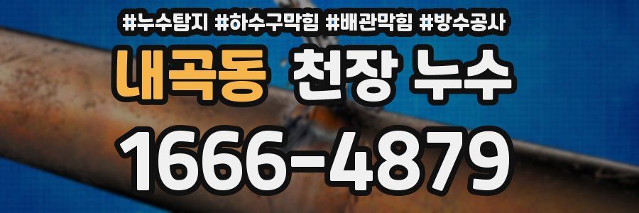내곡동 천장 누수