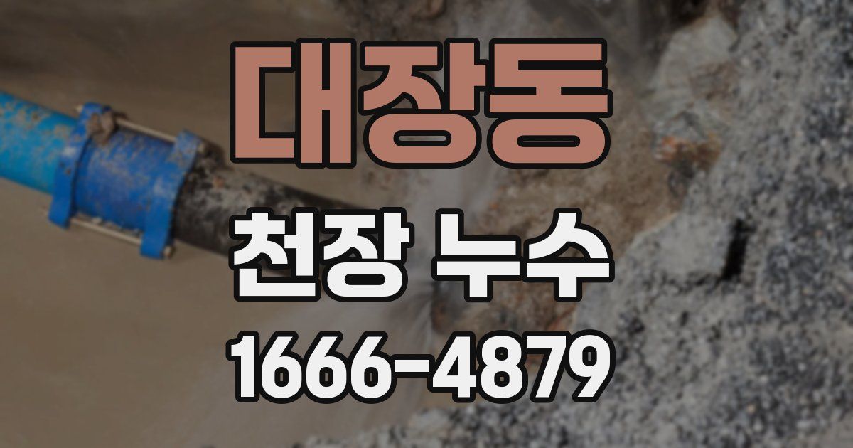 대장동 천장 누수