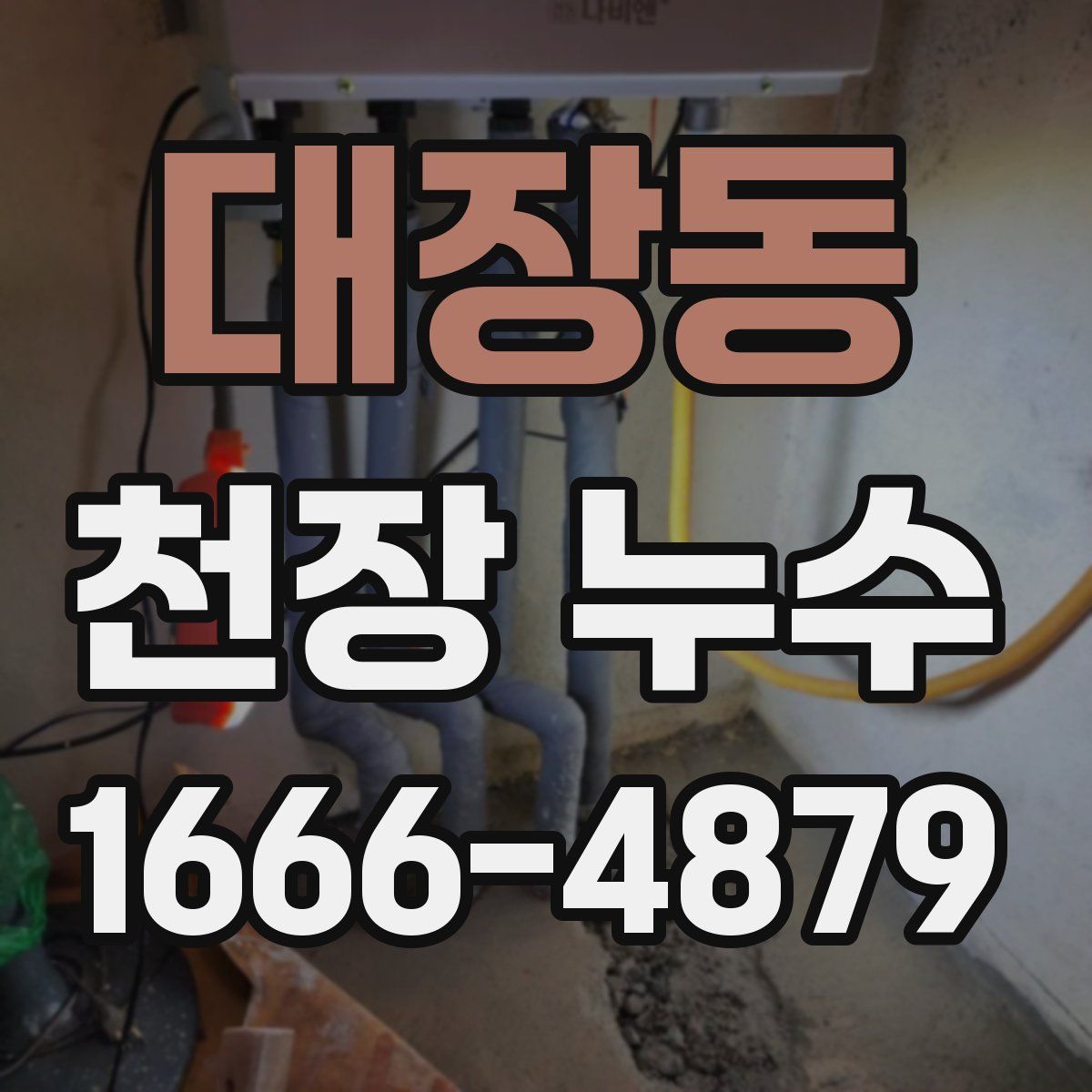 대장동 천장 누수