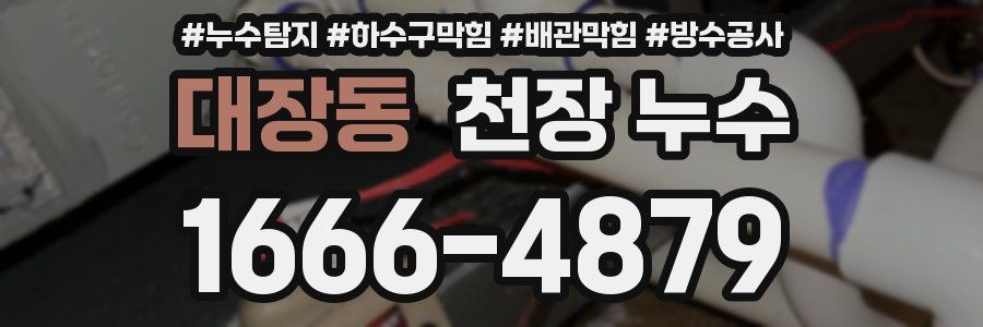 대장동 천장 누수