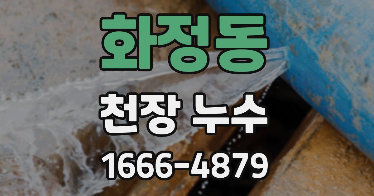 화정동 천장 누수