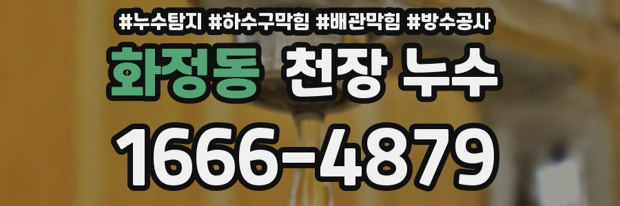 화정동 천장 누수