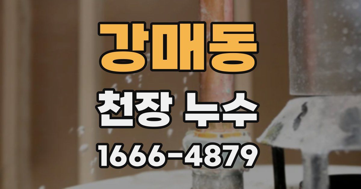강매동 천장 누수
