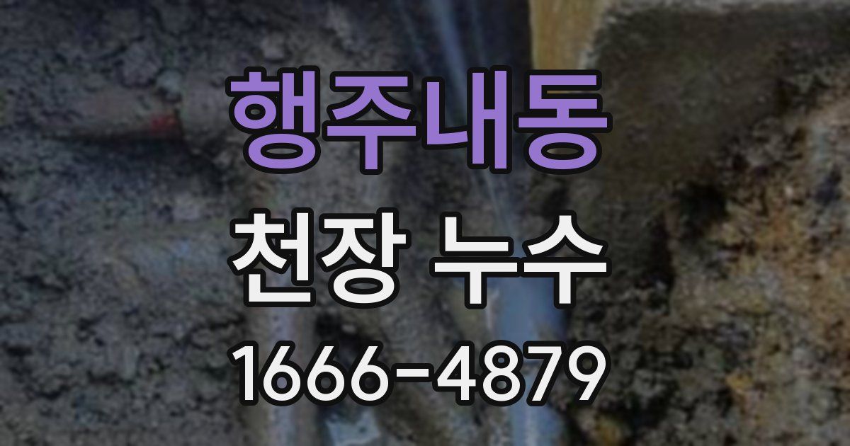 행주내동 천장 누수