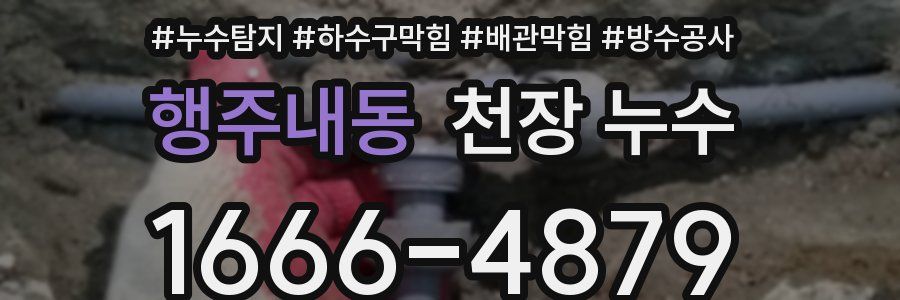 행주내동 천장 누수