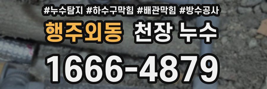 행주외동 천장 누수