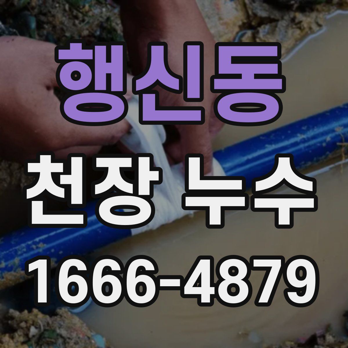 행신동 천장 누수