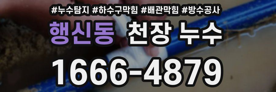 행신동 천장 누수