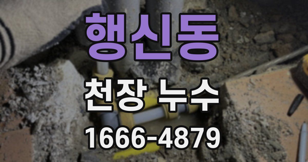 행신동 천장 누수