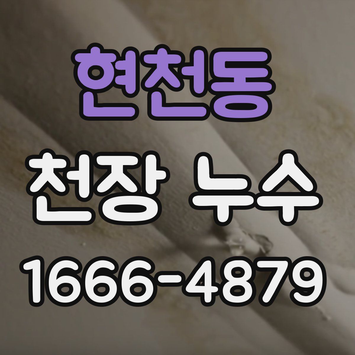 현천동 천장 누수