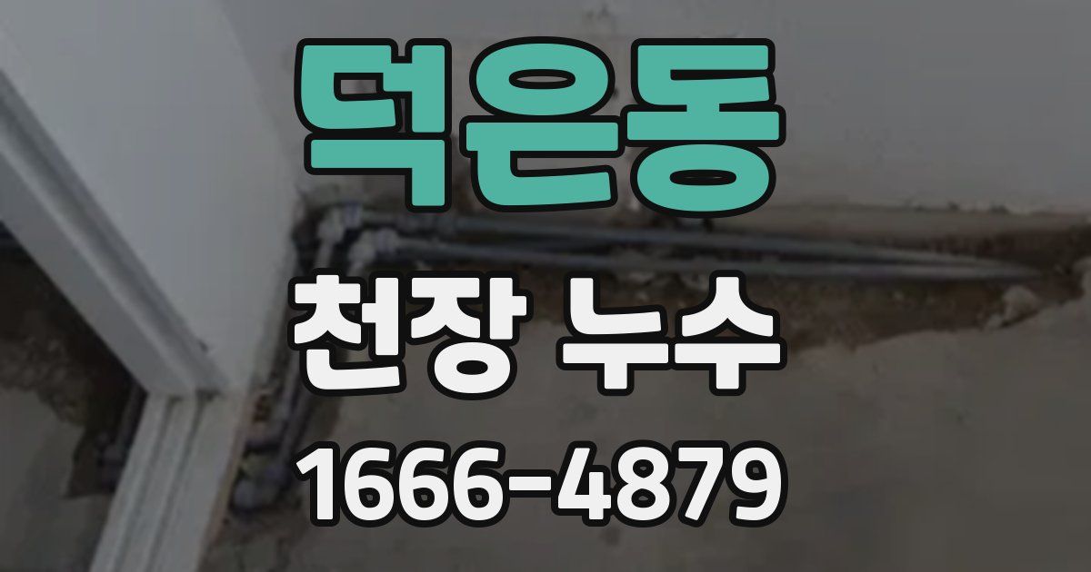 덕은동 천장 누수
