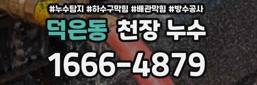 덕은동 천장 누수