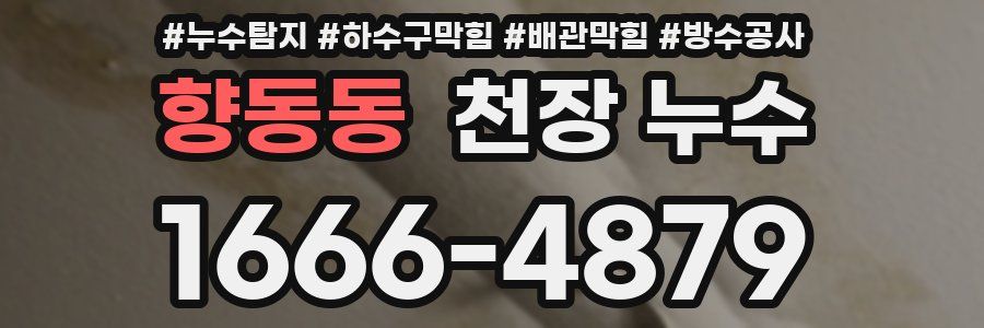 향동동 천장 누수