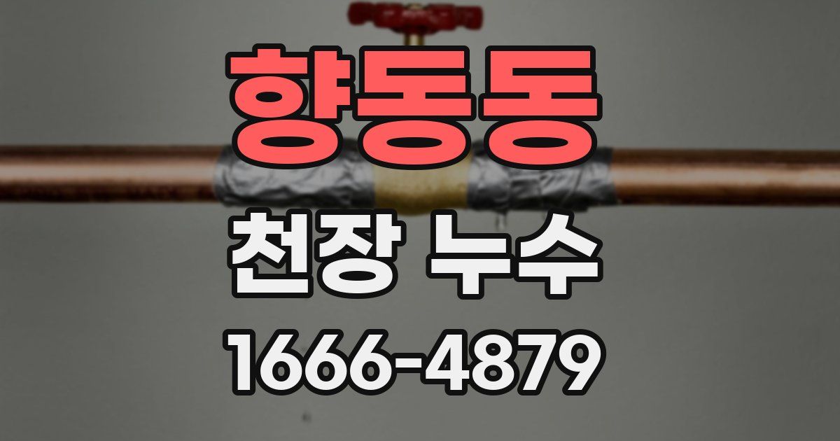 향동동 천장 누수