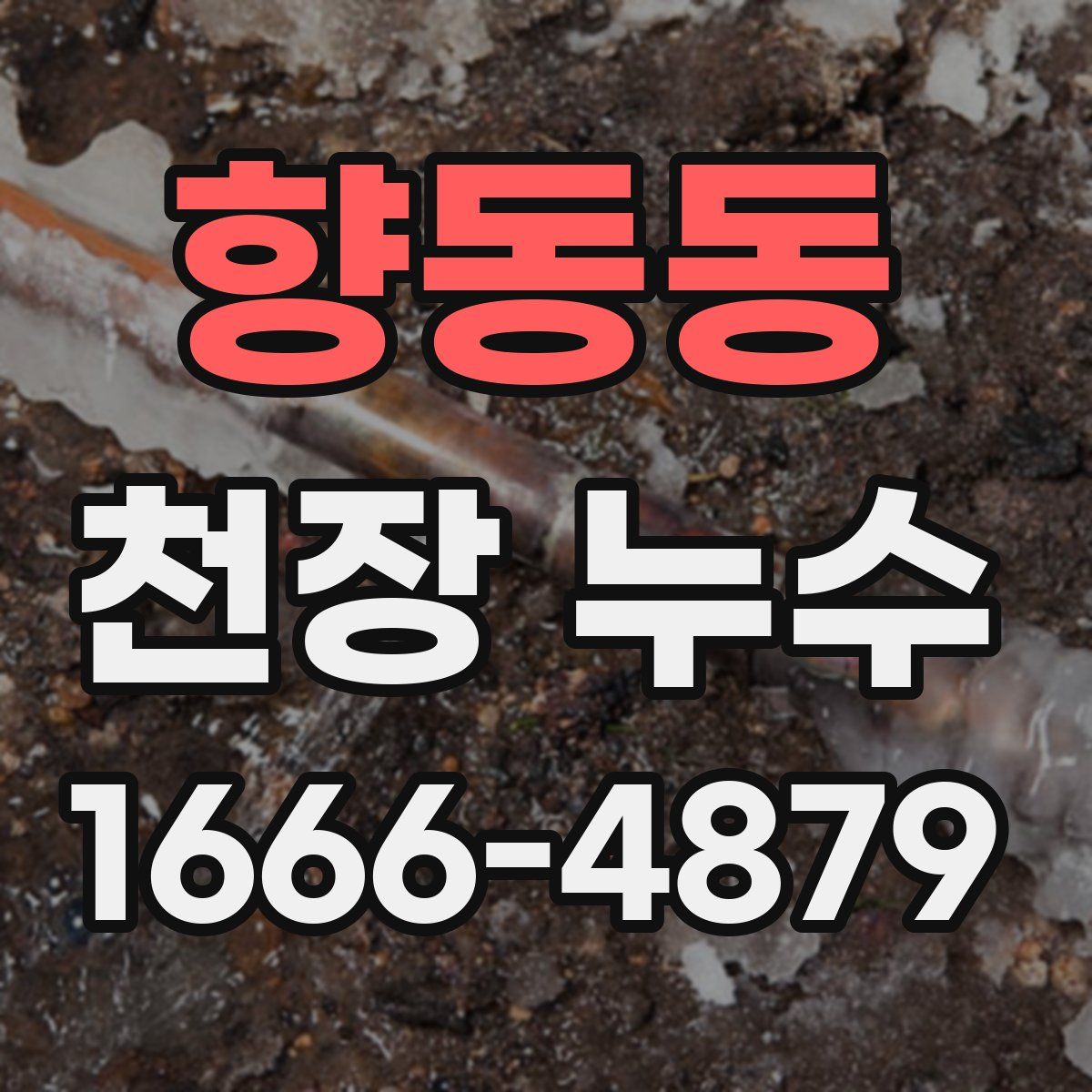 향동동 천장 누수