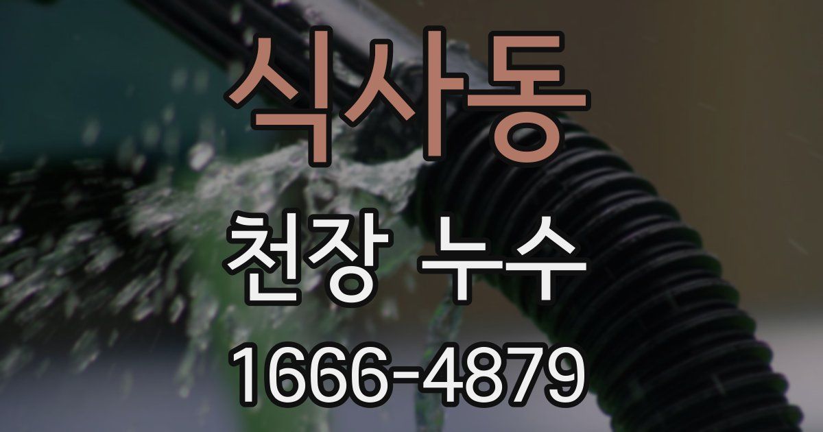 식사동 천장 누수