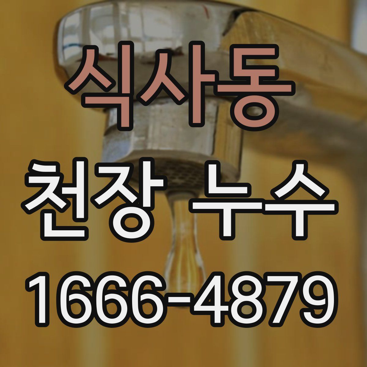 식사동 천장 누수