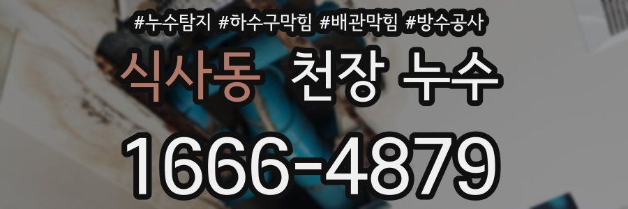 식사동 천장 누수
