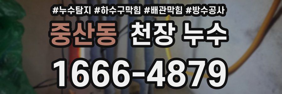 중산동 천장 누수
