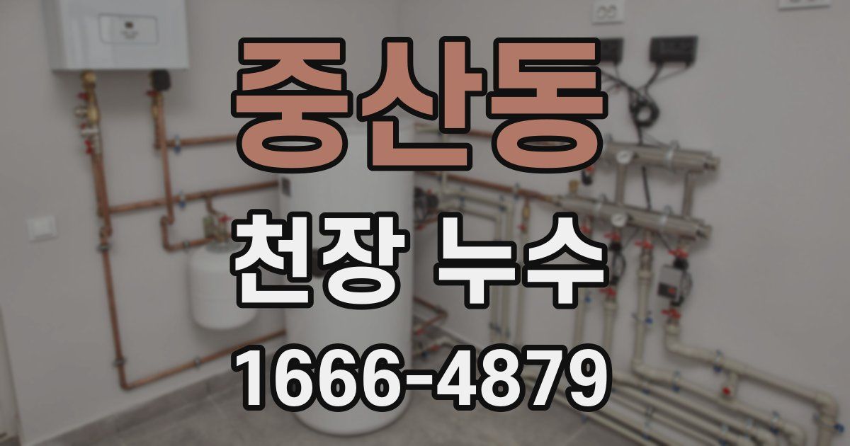 중산동 천장 누수
