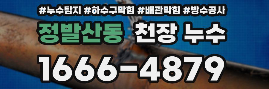 정발산동 천장 누수