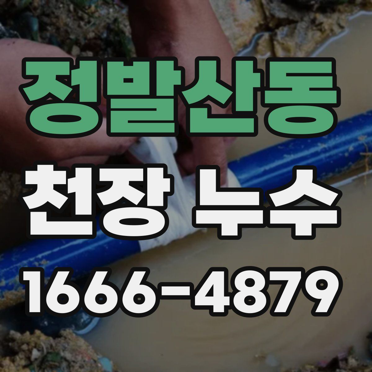정발산동 천장 누수