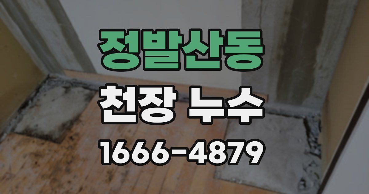 정발산동 천장 누수