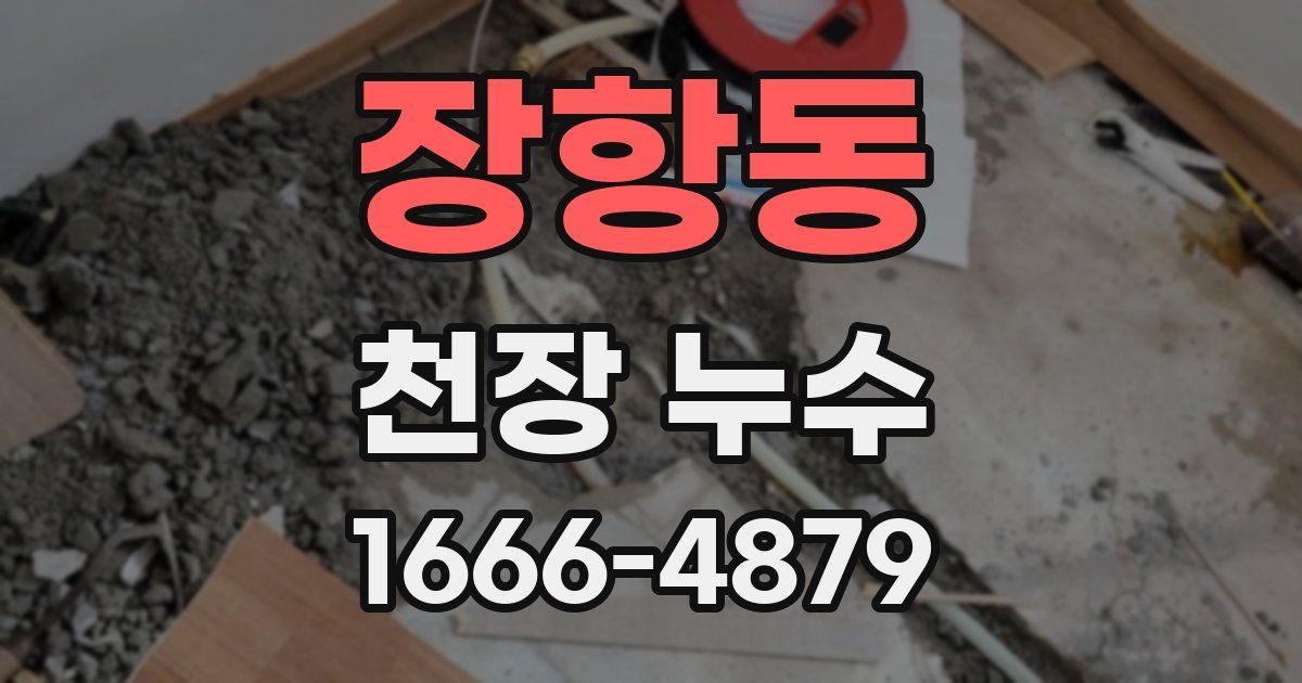 장항동 천장 누수