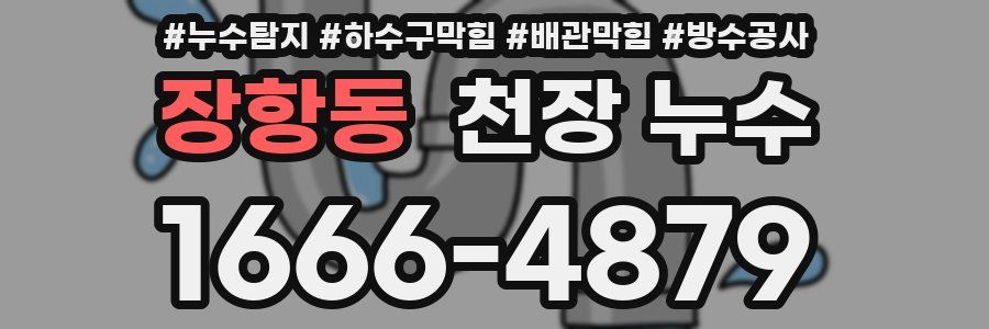 장항동 천장 누수