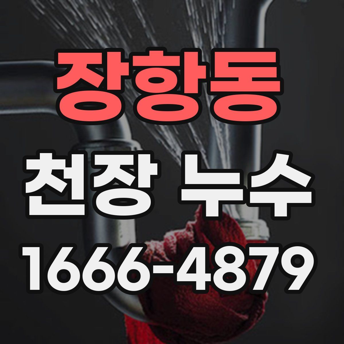 장항동 천장 누수