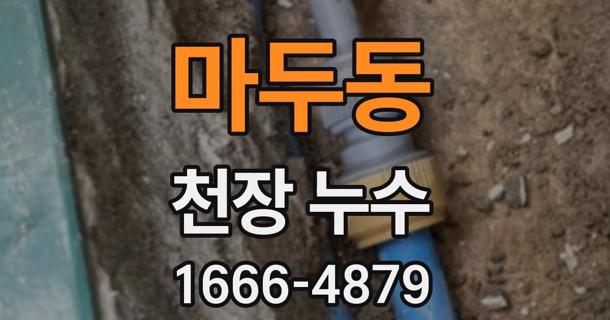 마두동 천장 누수