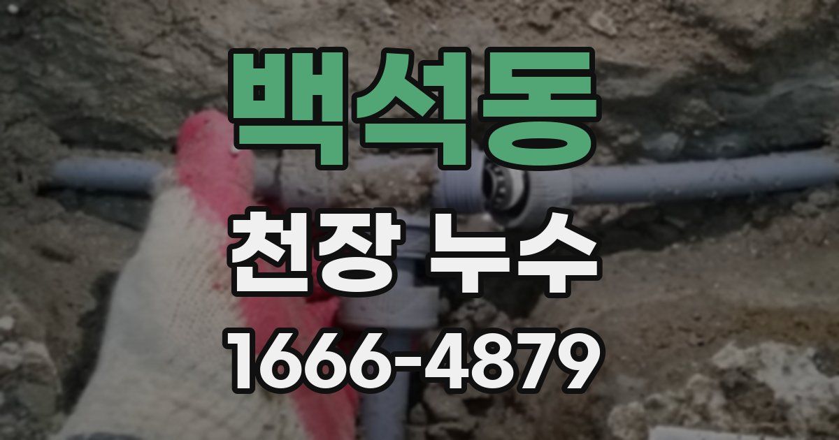 백석동 천장 누수