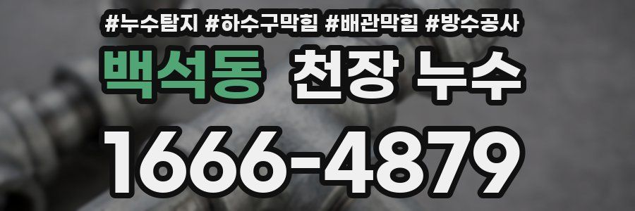 백석동 천장 누수